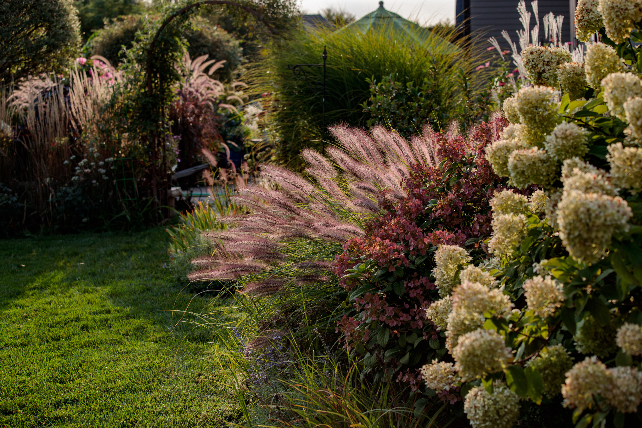 Graminées ornementales et arbustes à fleurs sur une pelouse, à l’arrière-plan une arche plantée et une cabane de jardin