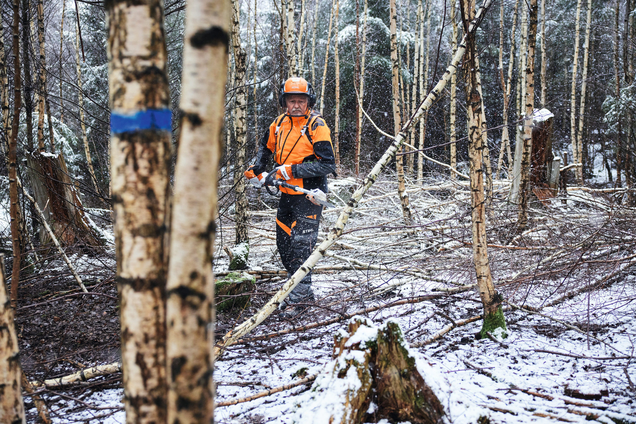 Perche élagage HTA 150 (forestier) sans batterie ni chargeur