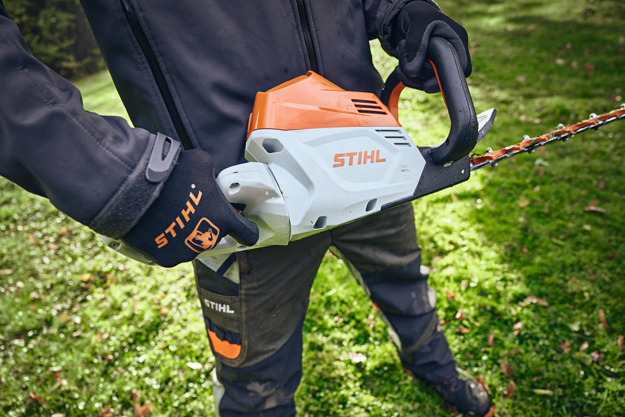 Taille-haie HSA 100 sans batterie ni chargeur
