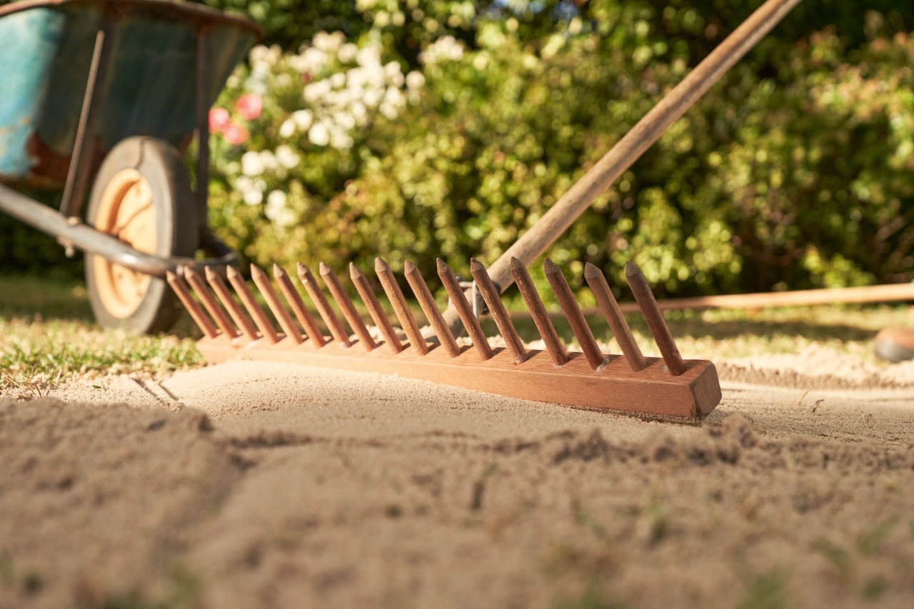 Le sable est lissé avec le dos d’un râteau en bois, avec une brouette et une haie en arrière-plan.