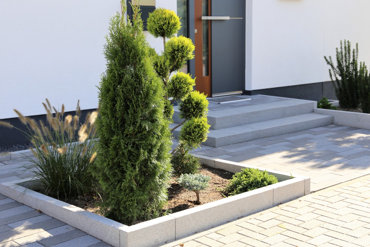 Parterre de jardin élégant entouré de dalles en béton 
