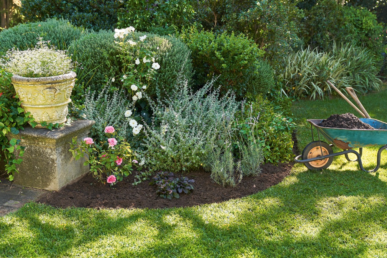 Jardin de façade ombragé au design attrayant