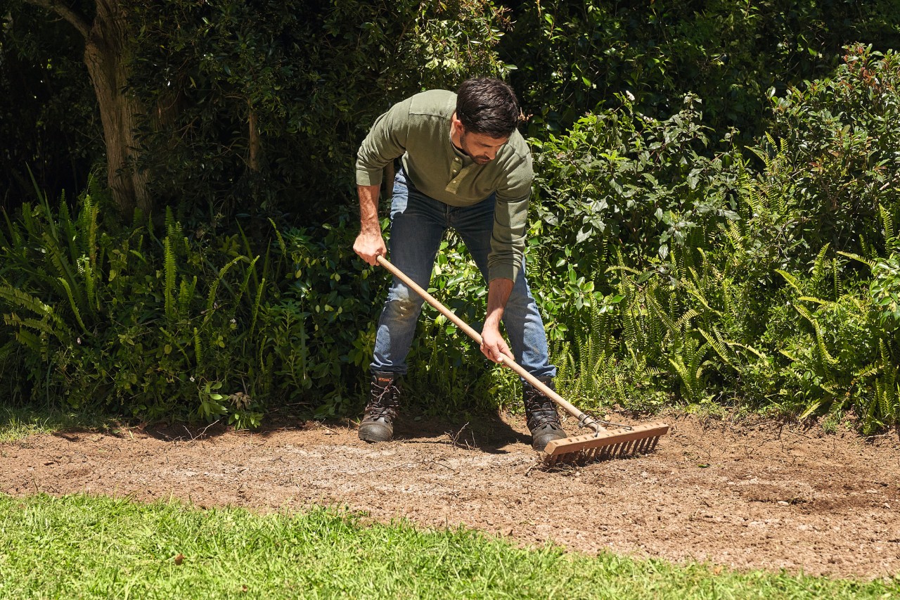 Un homme ratisse les graines pour une prairie de fleurs sauvages dans son jardin 