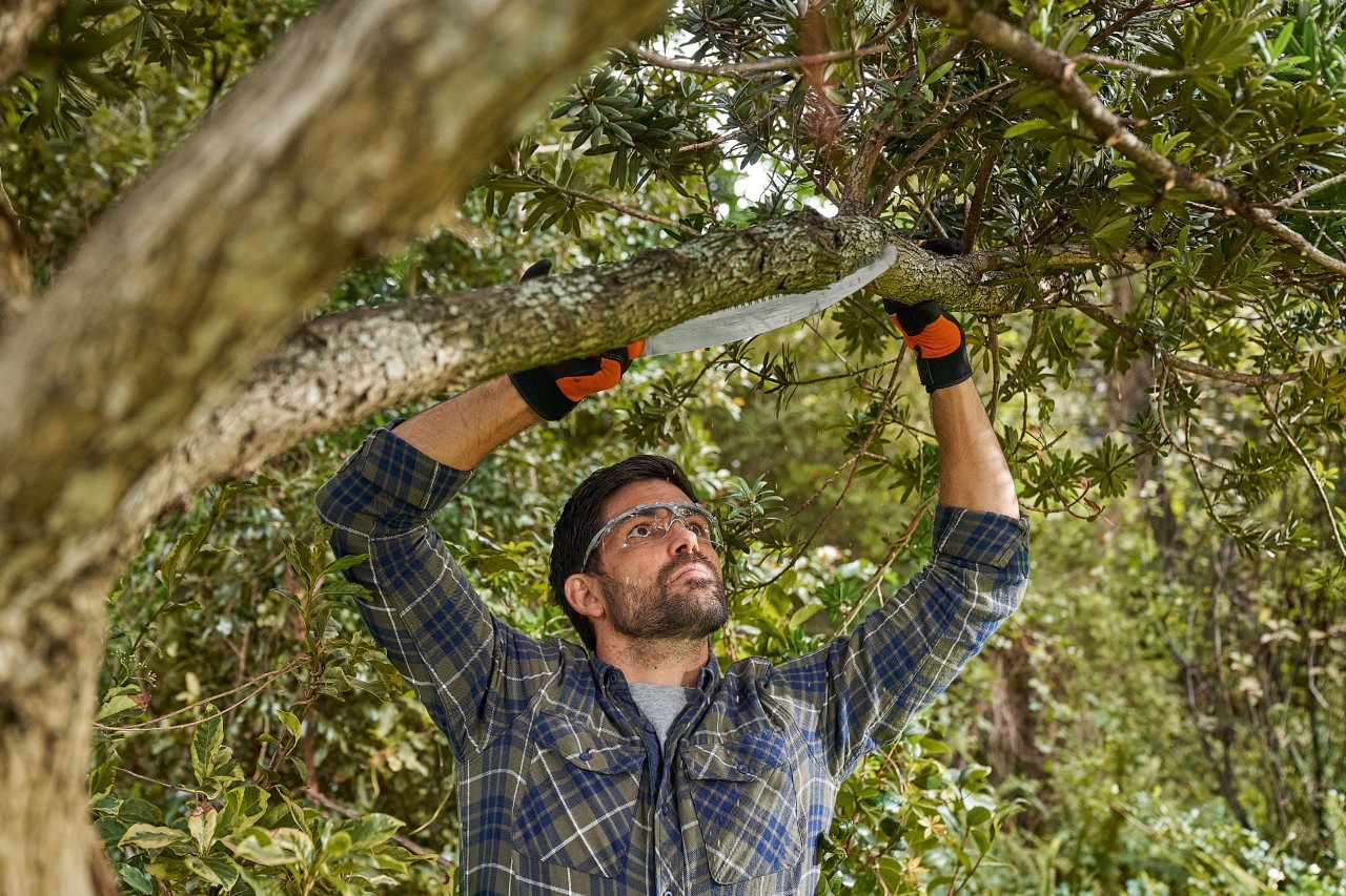 Un homme avec des gants et lunettes de protection STIHL scie une branche en partant du bas jusqu’au centre de celle-ci