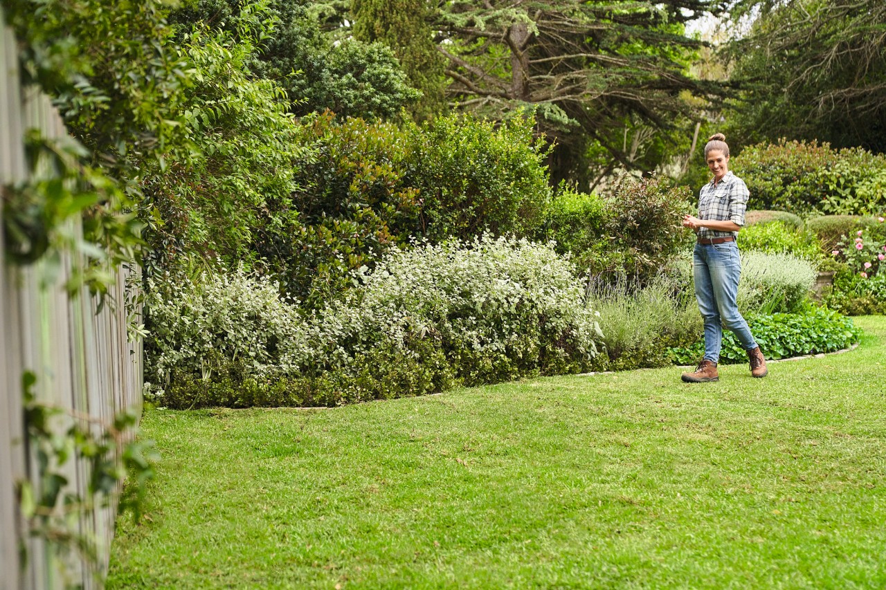 Une femme marche sur son gazon en rouleau nouvellement posé dans un grand jardin