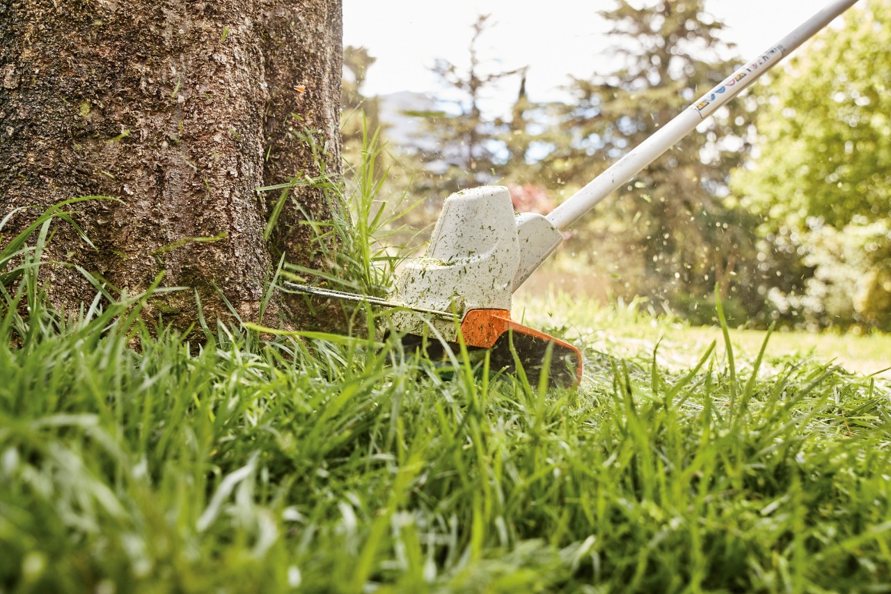 Tondre les bordures d’un arbre avec la débroussailleuse à batterie STIHL FS 57