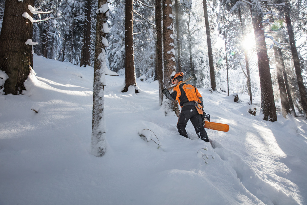 Un bucheron dans la foret enneigée avec une tronçonneuse STIHL