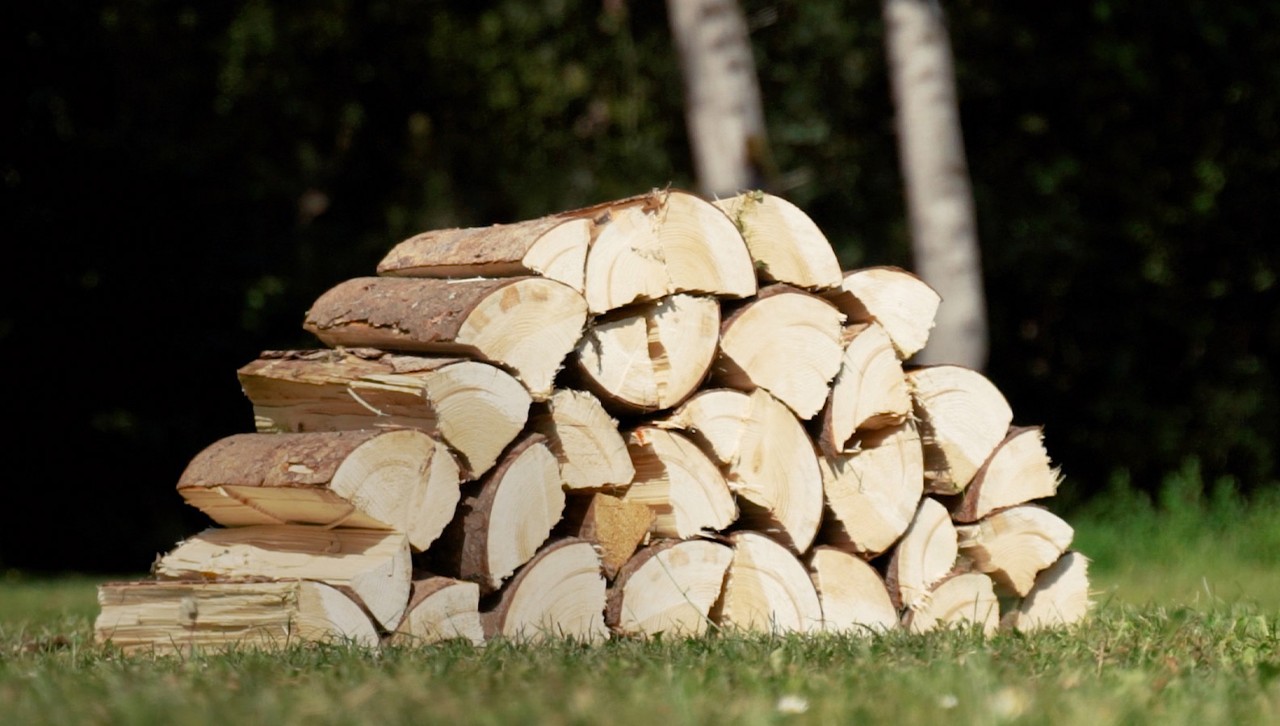 Pile de bûches après la coupe du bois de chauffage