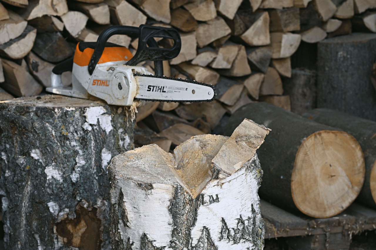 Tronçonneuse à batterie STIHL MSA 120 et un tronc d’arbre dans lequel une entaille a été sciée