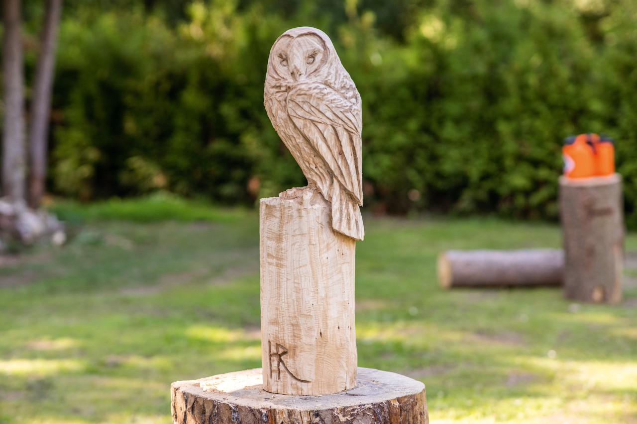 Sculpter soi-même un hibou en bois artistique