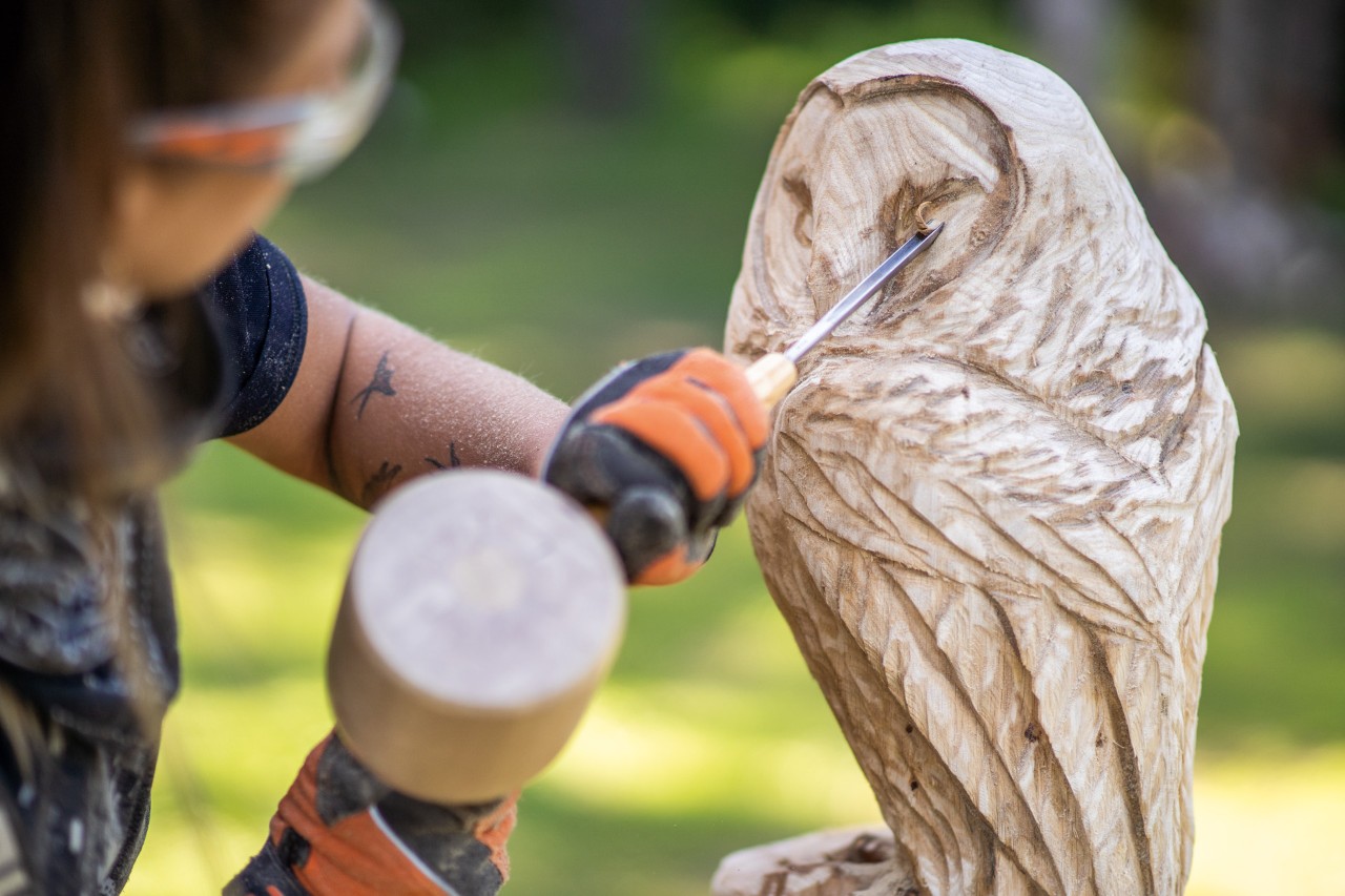 Réalisation d’une sculpture en bois hibou : ajouts de petits détails sur la tête à l’aide d’un burin.