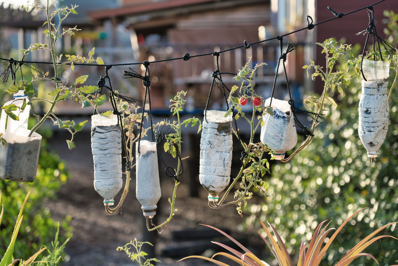 Support de plantes grimpantes recyclé fabriqué à partir de vieilles bouteilles en plastique accrochées à une corde