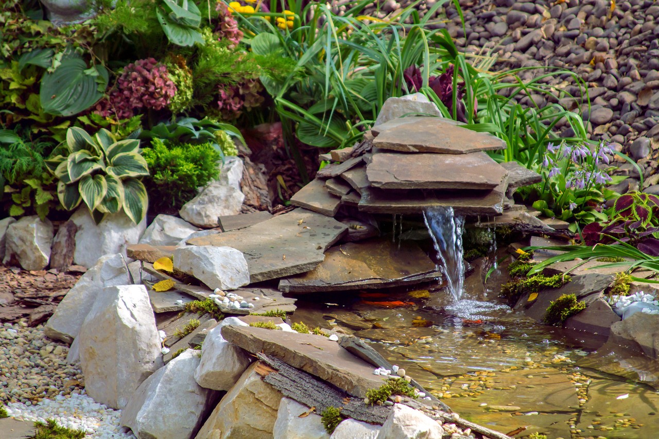 Une fontaine d’un petit bassin dans un jardin accueillant pour la faune, aménagé de plantes, pierres et ardoises