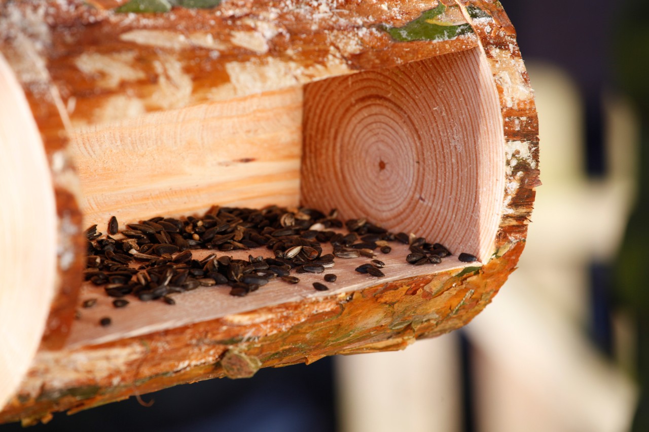 Faire une mangeoire à oiseaux en bois : Gros plan sur des graines pour oiseaux dans une mangeoire terminée