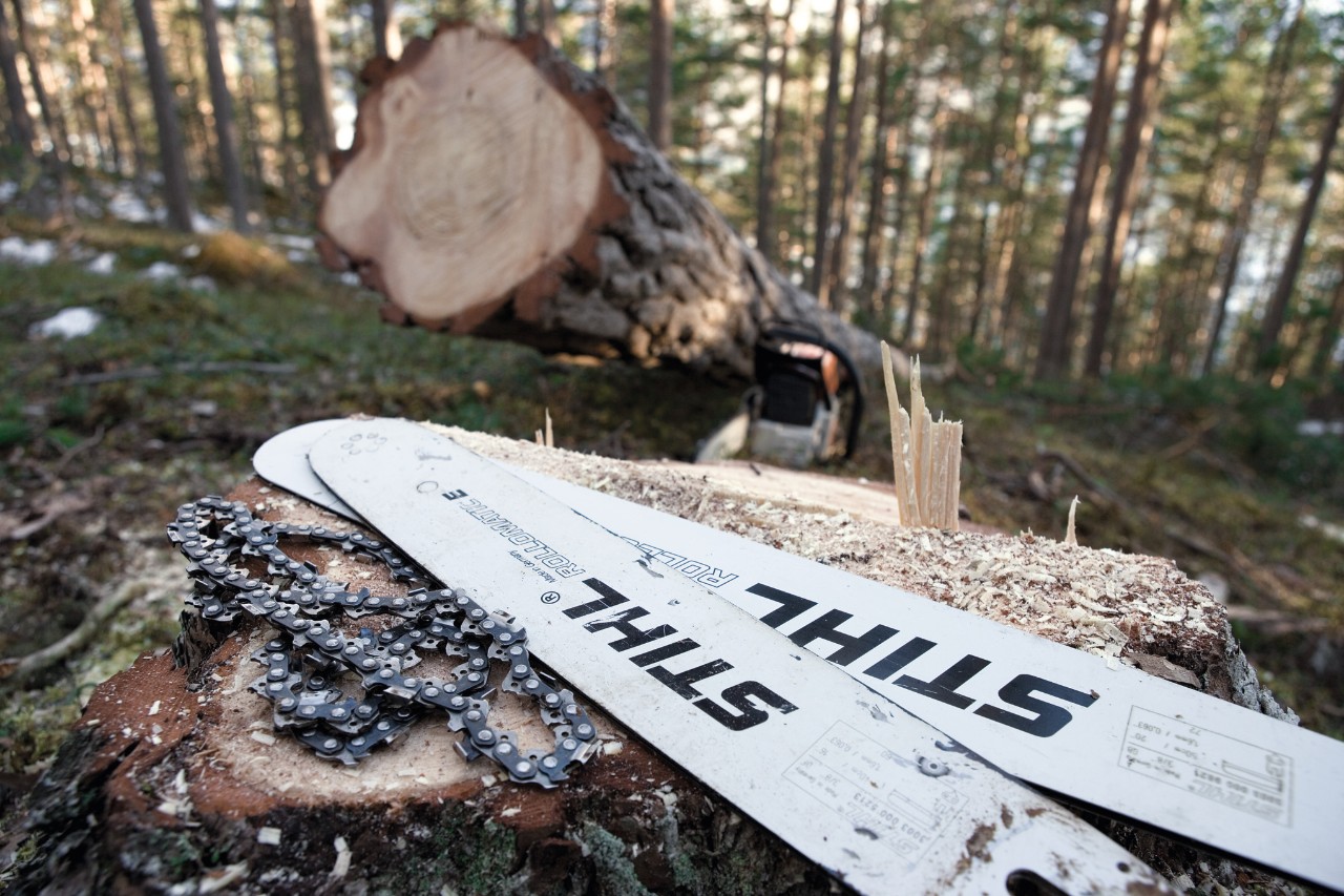 Débrousailleuse à batterie STIHL FSA 86 de la gamme AP System