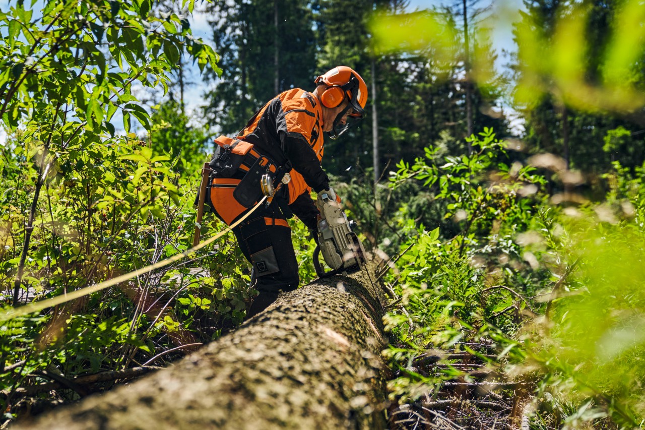 Personne portant un équipement de protection et le kit Sylviculture Pro en forêt 