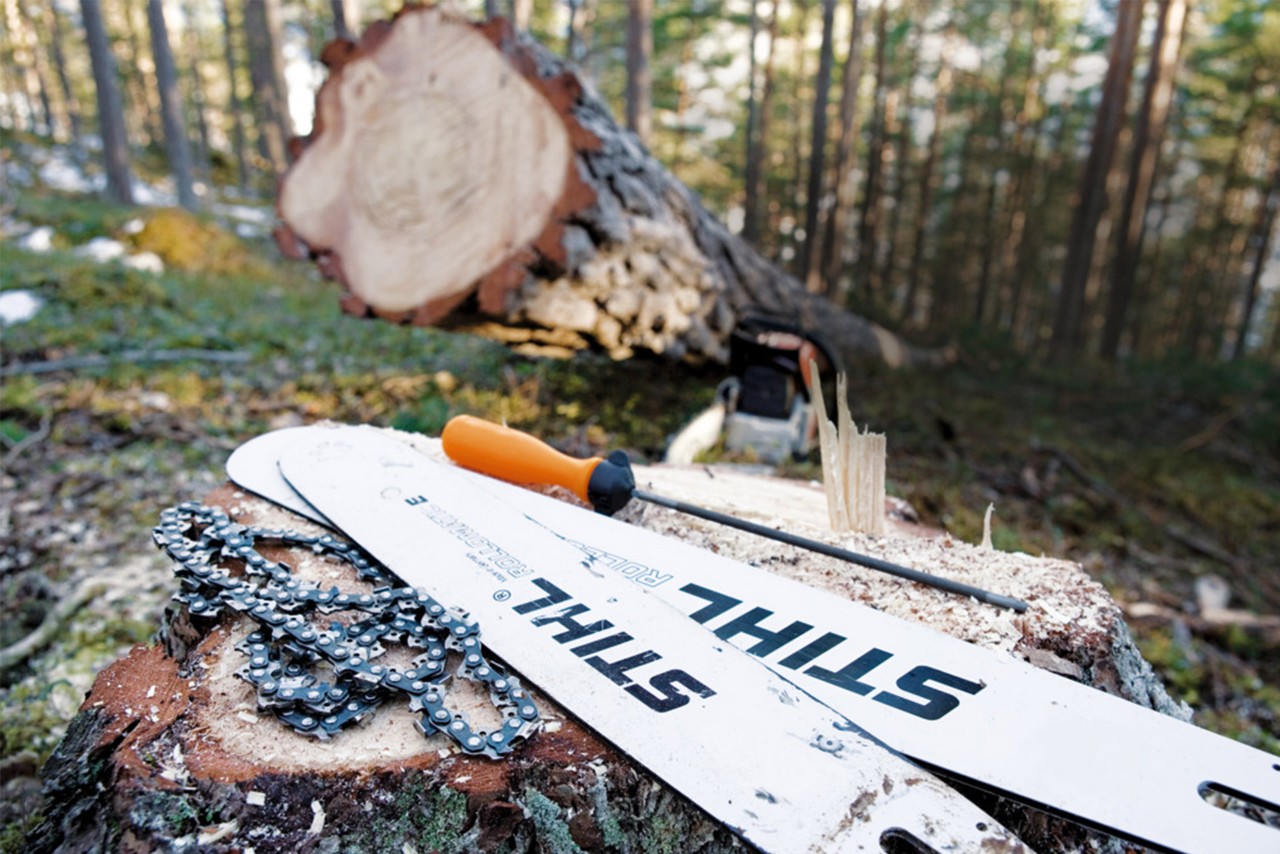 Chaines et guide-chaine STIHl dans la forêt