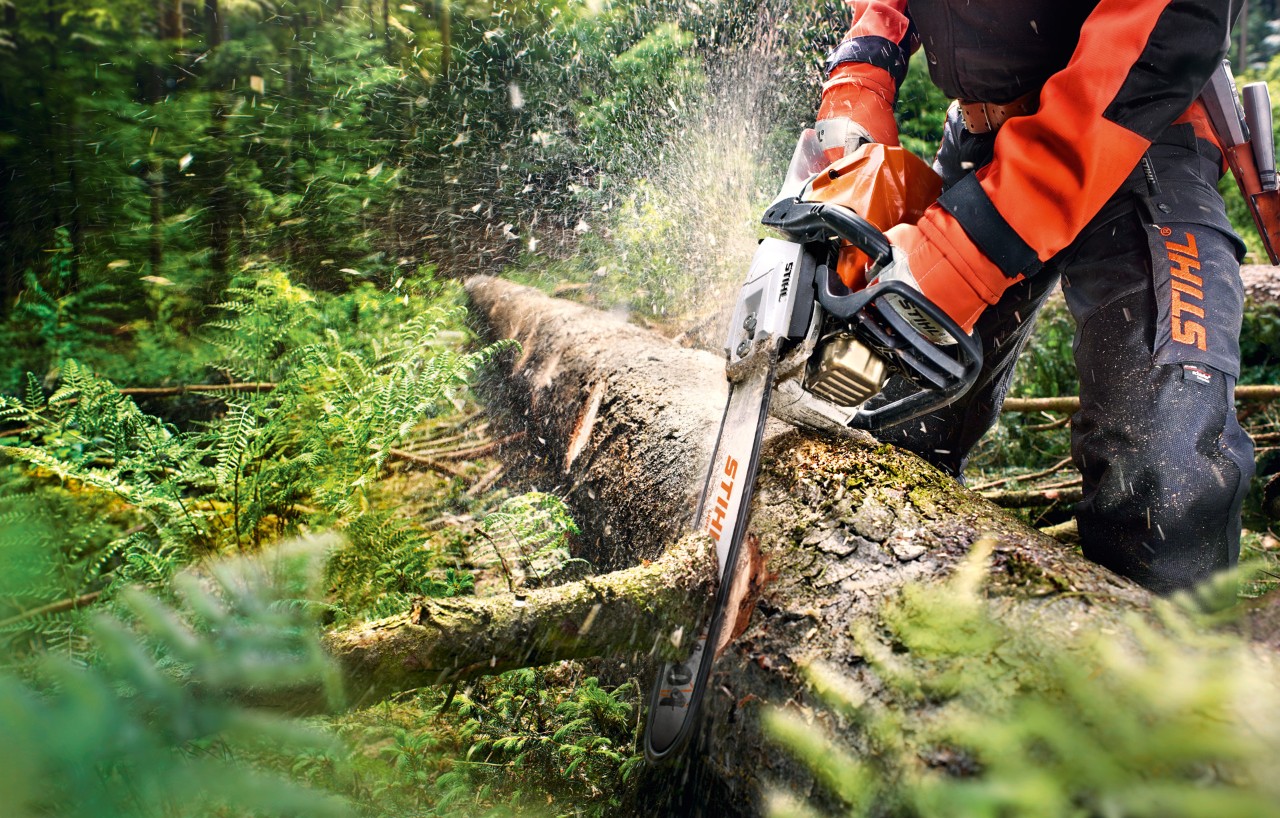 Alt text: Une tronçonneuse STIHL utilisée dans une forêt pour élaguer un arbre couché sur le sol